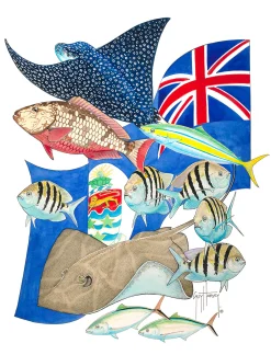 Jewels of Cayman