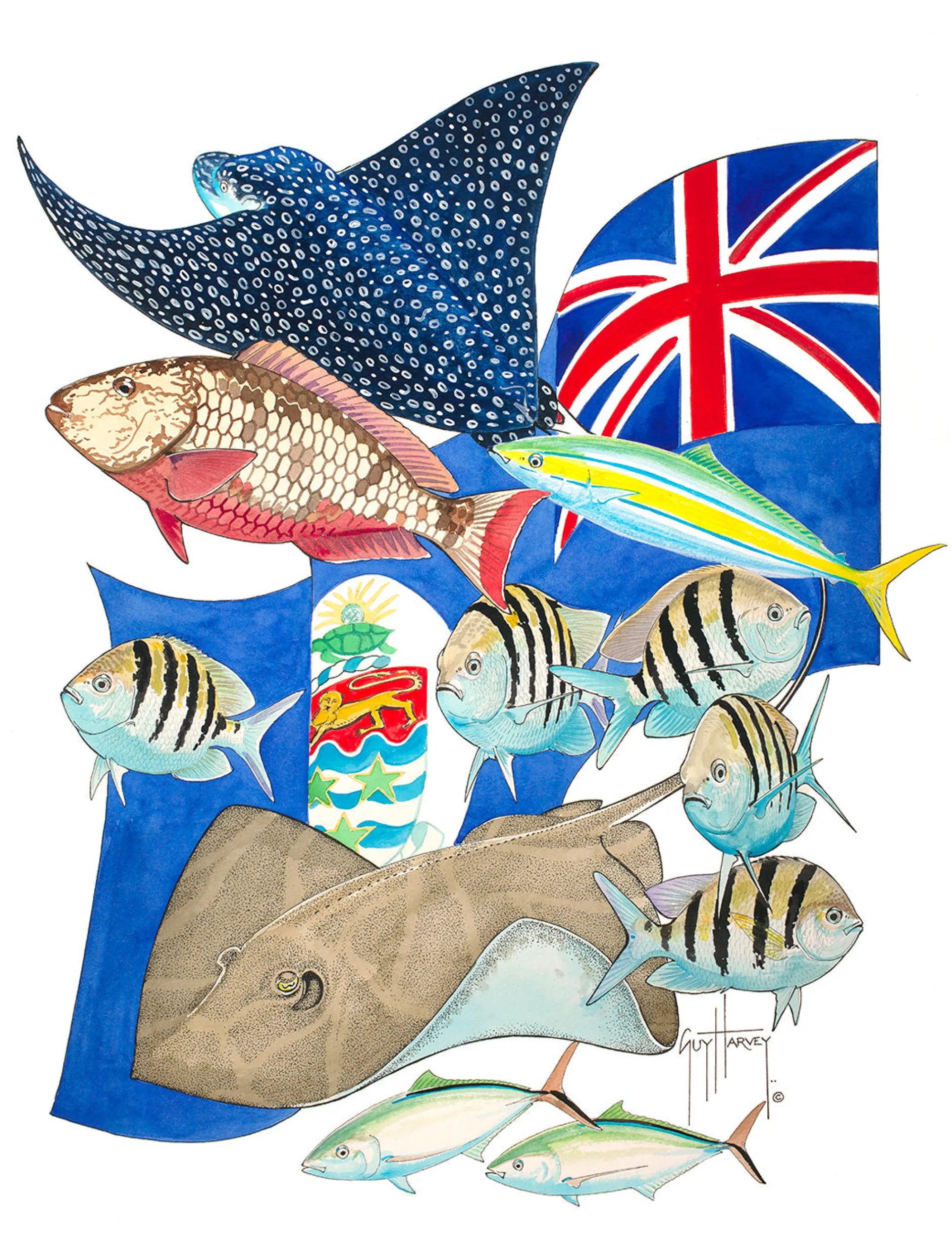 Jewels of Cayman