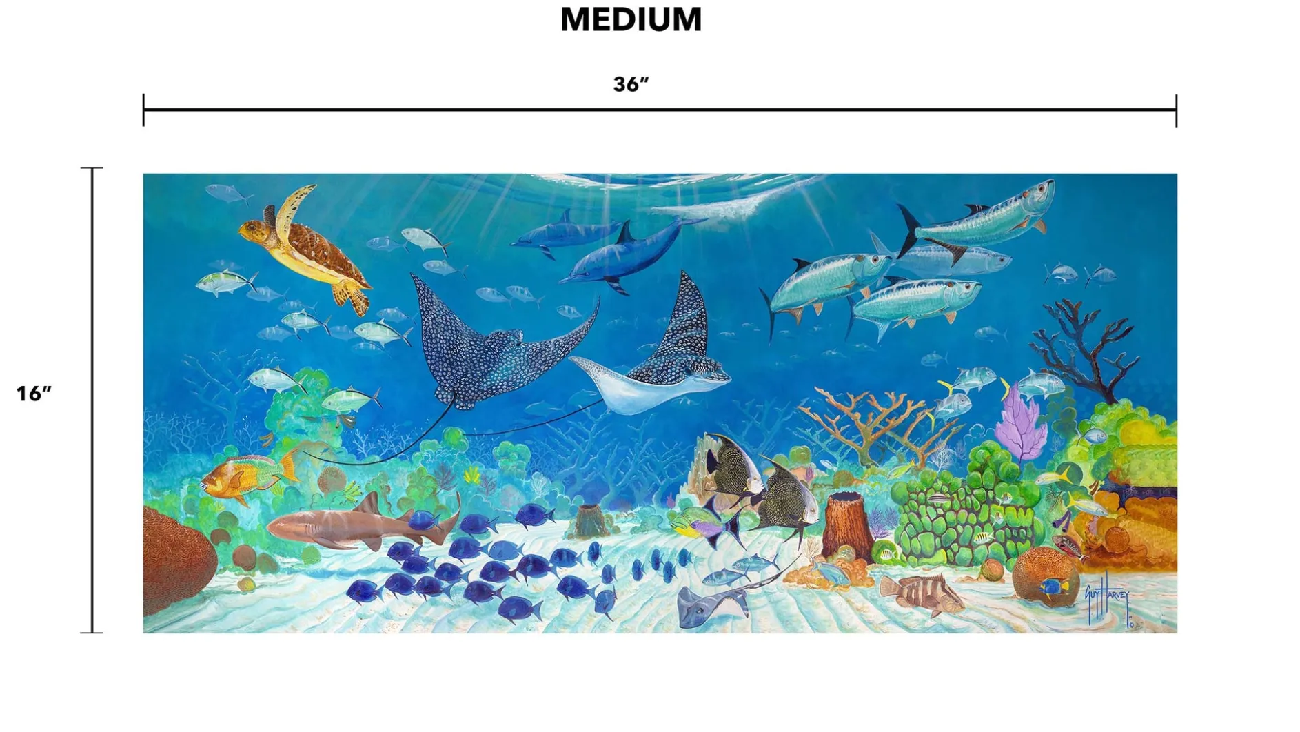 "Living Reef" Aluminum Art