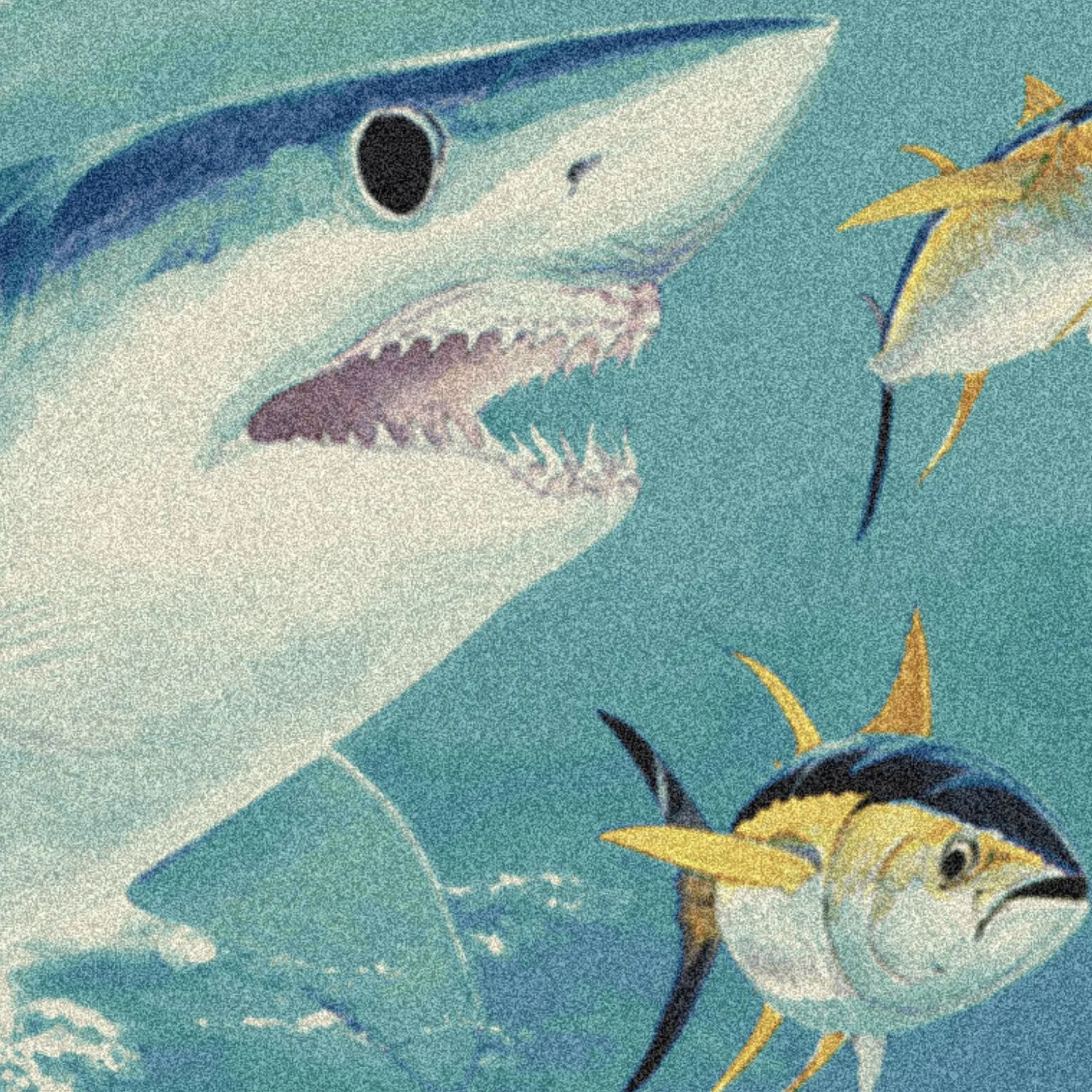 Mako Shark Area Rug