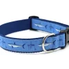 Mako Shark Dog Collar