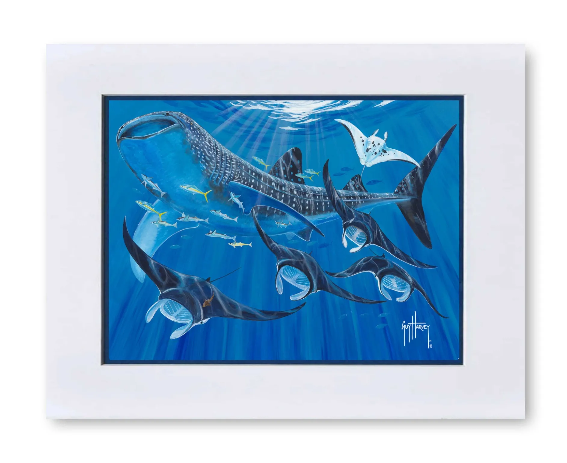 "Manta Train" Mini Print