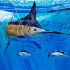 Multiple Choice Skipjacks
