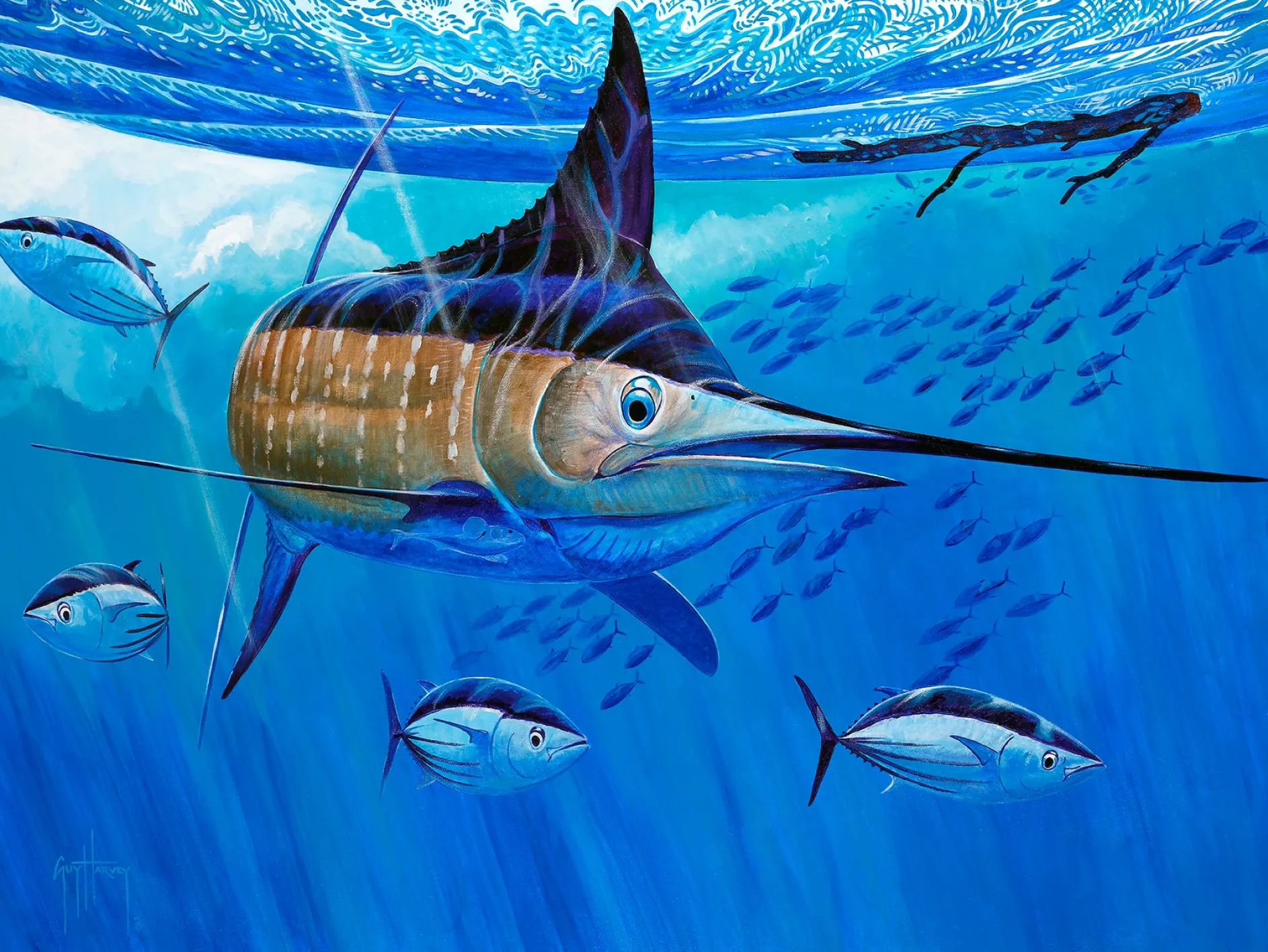 Multiple Choice Skipjacks