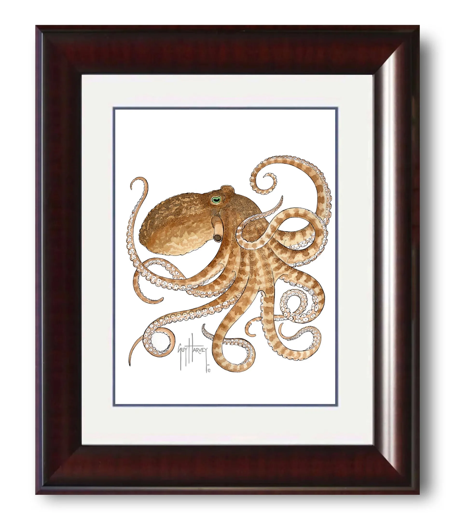 "Octopus IV" Grande Mini Print