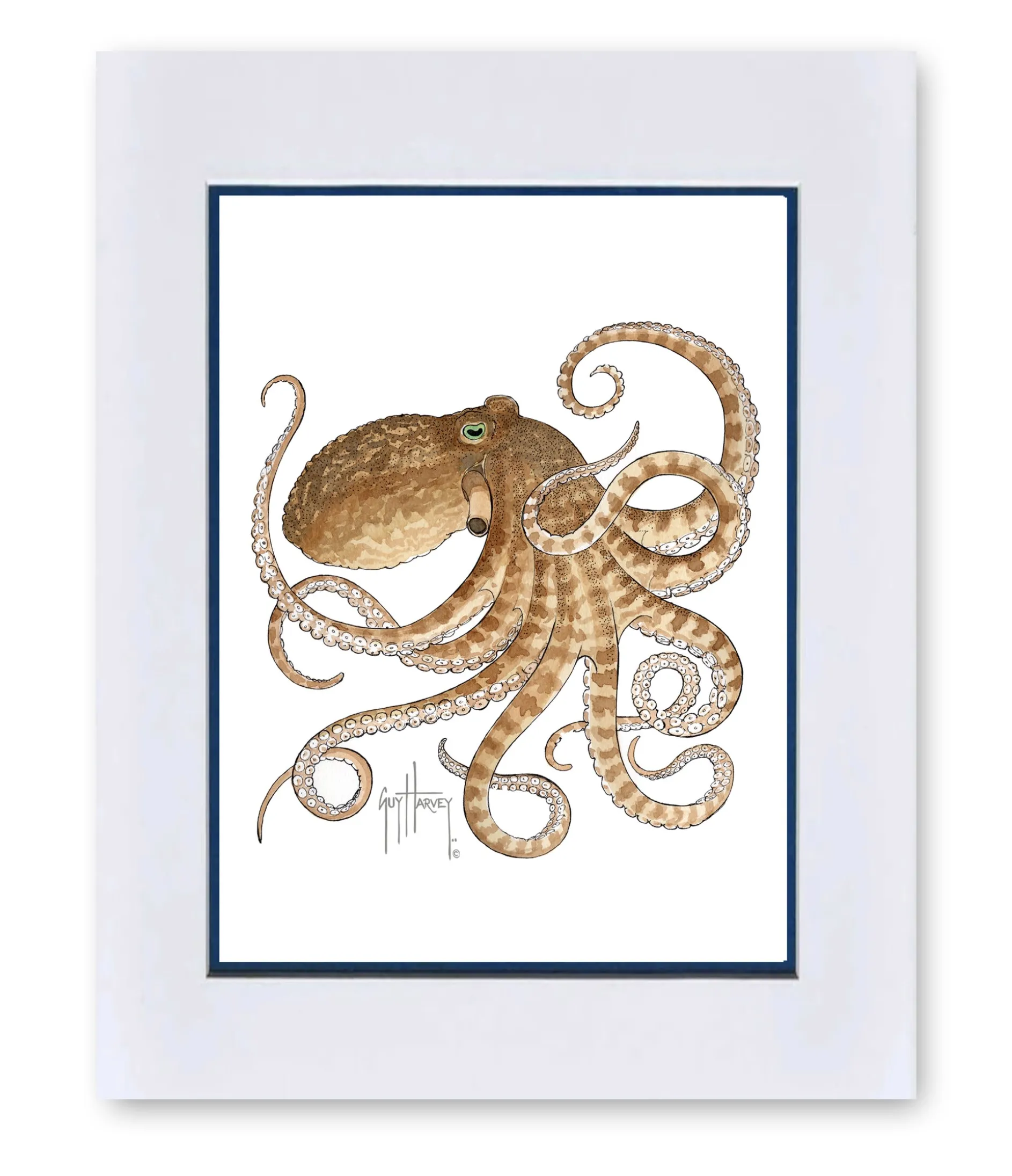 "Octopus IV" Grande Mini Print