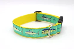 Offshore Dog Collar
