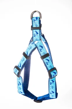 Old Man and Marlin Dog Harness