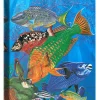 "Parrotfish Reef" Small Canvas Art