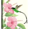"Pink Hibiscus I" Small Canvas Art