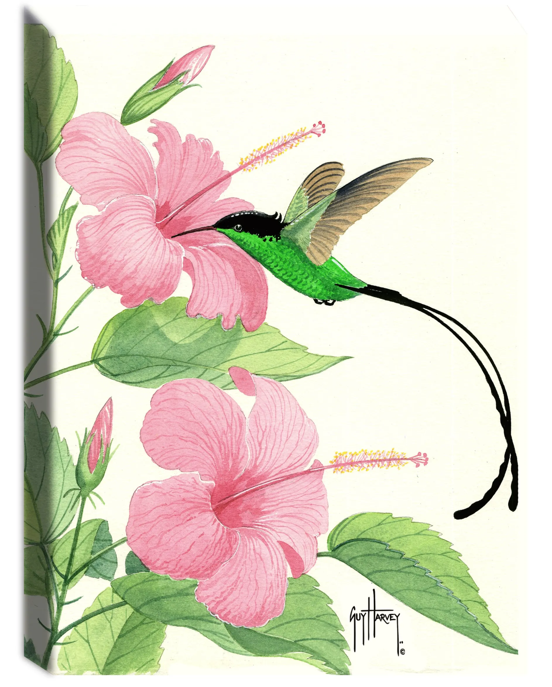 "Pink Hibiscus I" Small Canvas Art