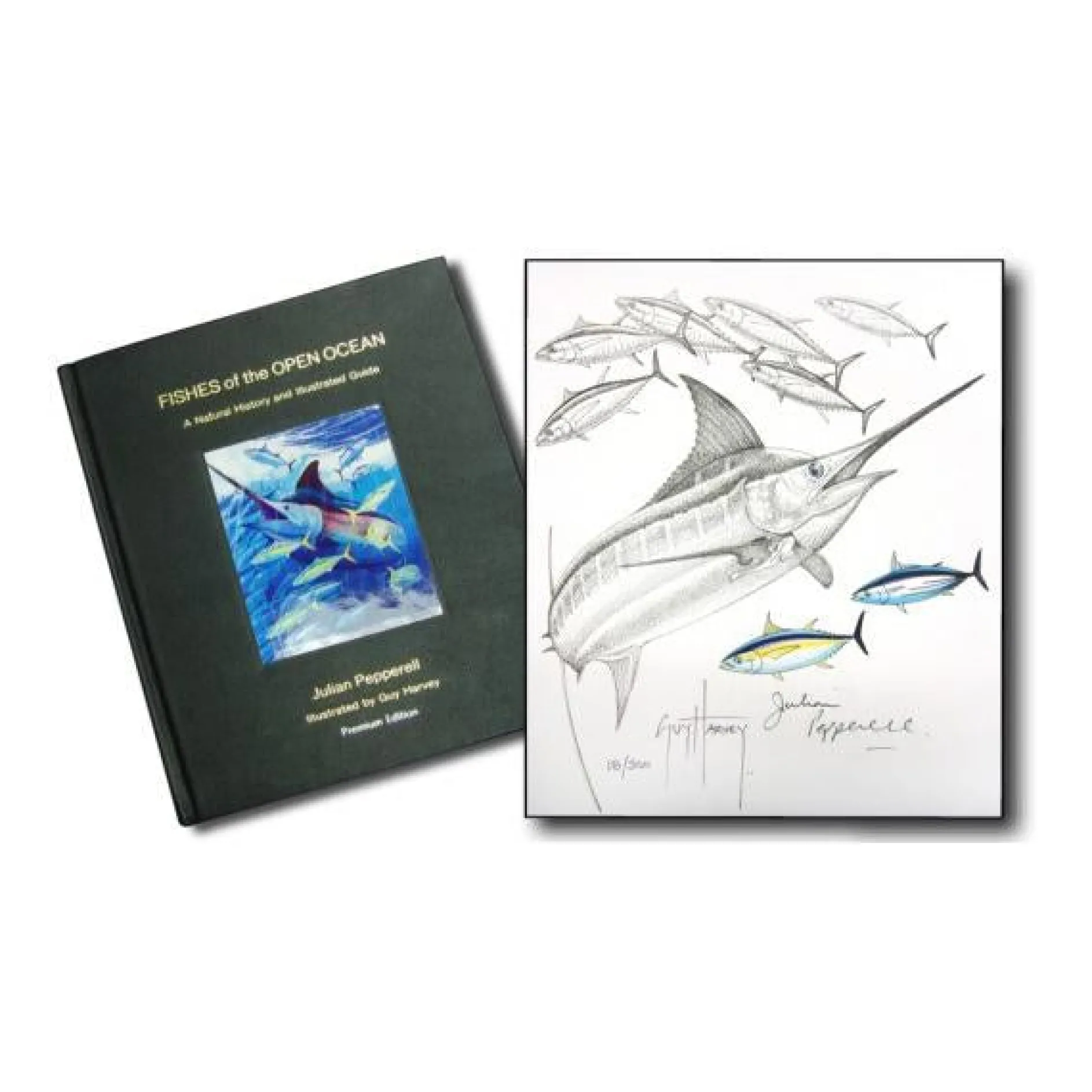 PREMIUM FISHES OF THE OPEN OCEAN BOOK