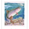 "Rainbow Country" Limited Edition Lithograph