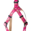 Sea Turtle Dog Harness