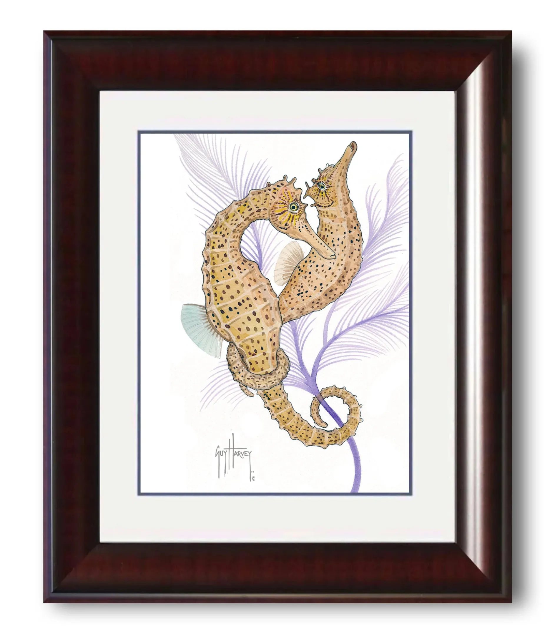 "Seahorse Pair" Mini Print