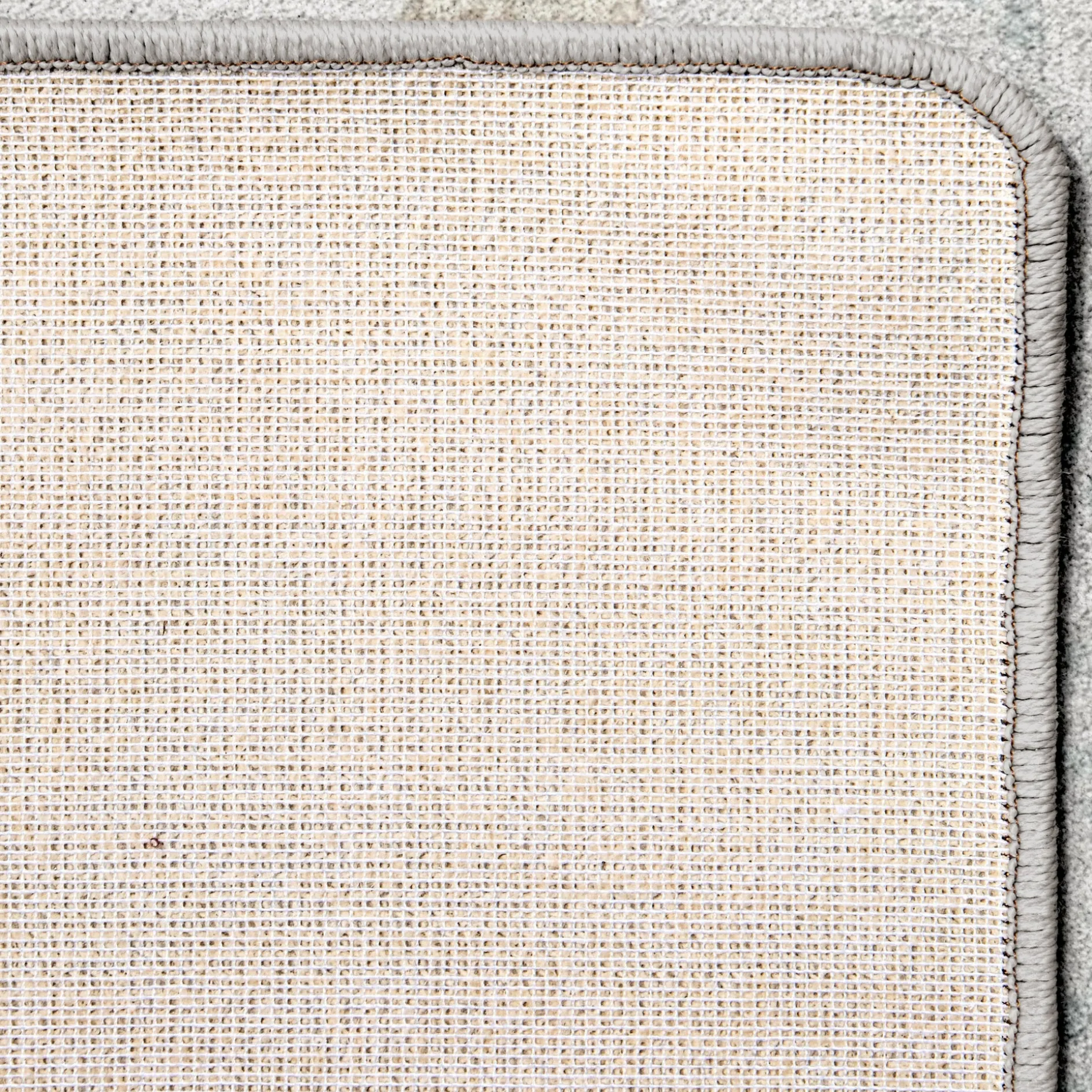 Seashell Swirl Area Rug