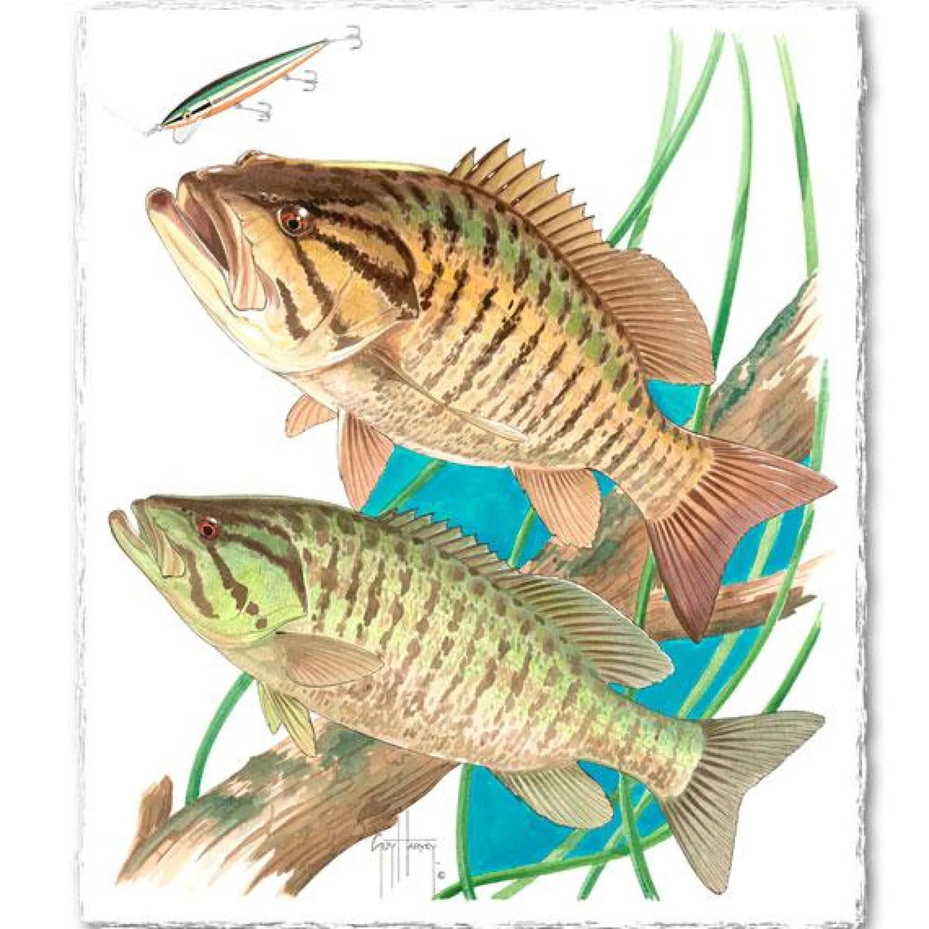 SMALLMOUTH BASS