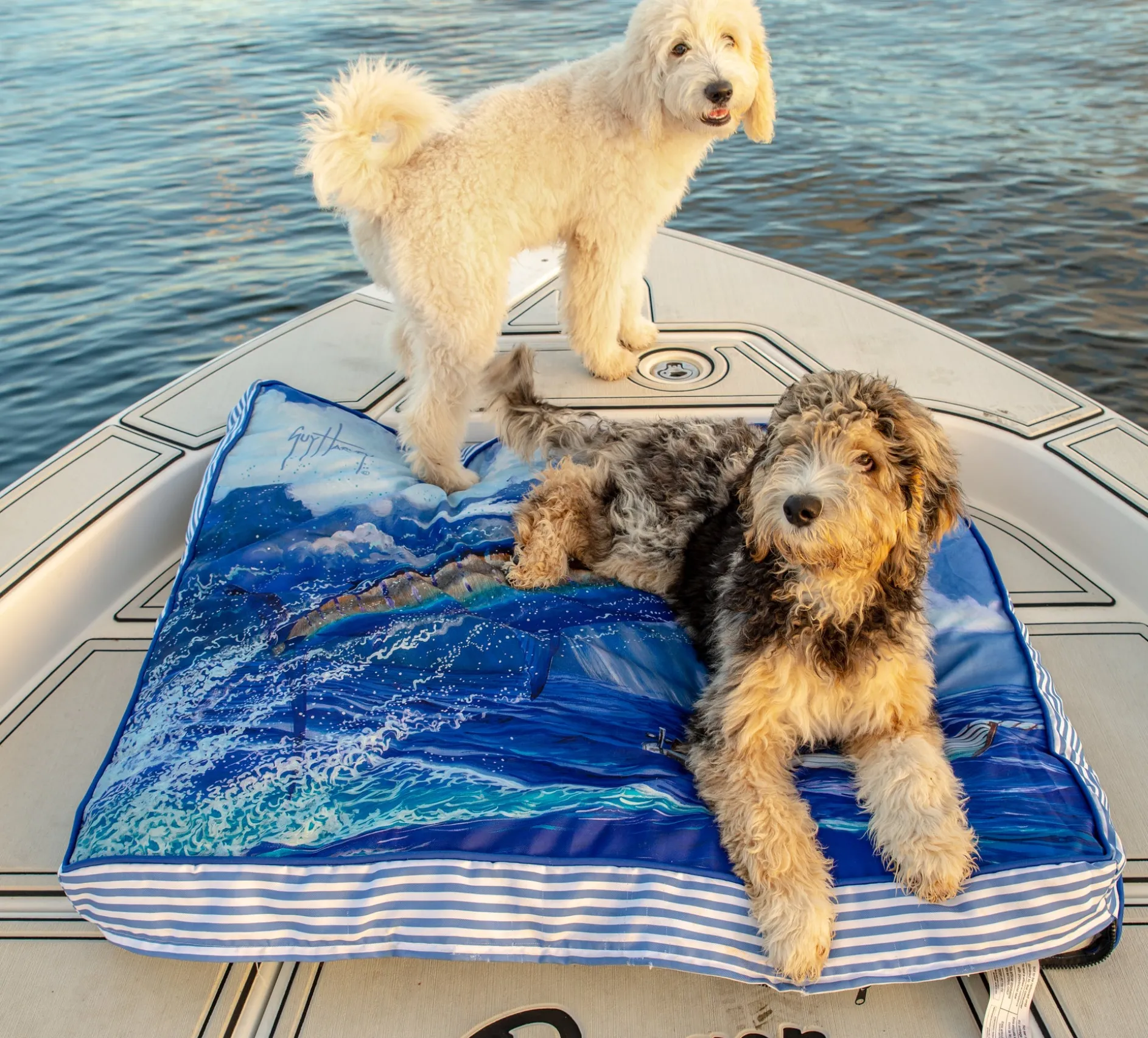 Stormy Blue Guy Harvey Pet Bed