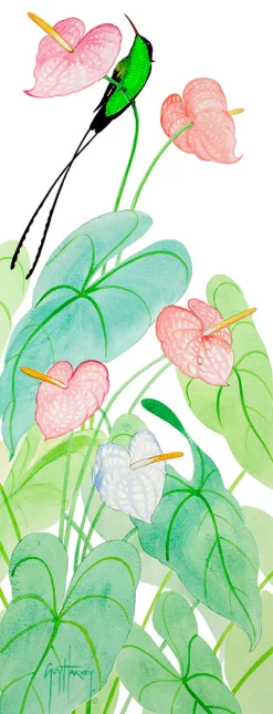 Streamertail & Anthuriums