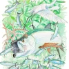 Tarpon and Egret