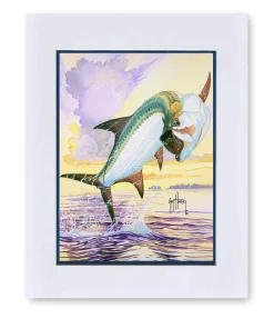 "Tarpon Solo" Grande Mini Print