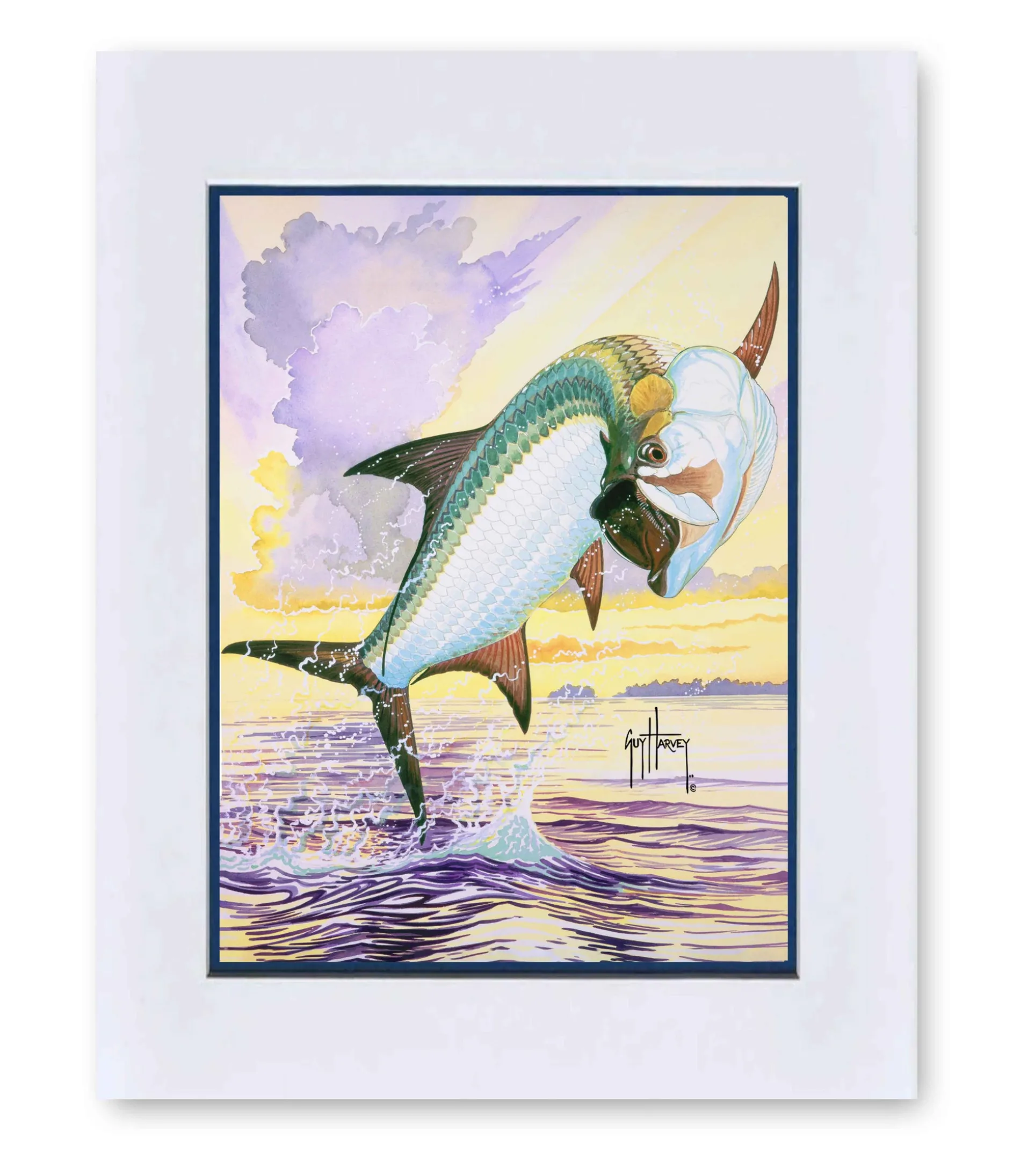 "Tarpon Solo" Grande Mini Print