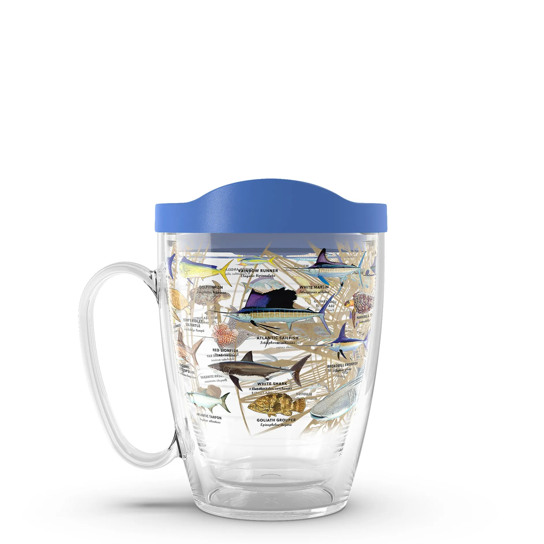 Tervis Charts