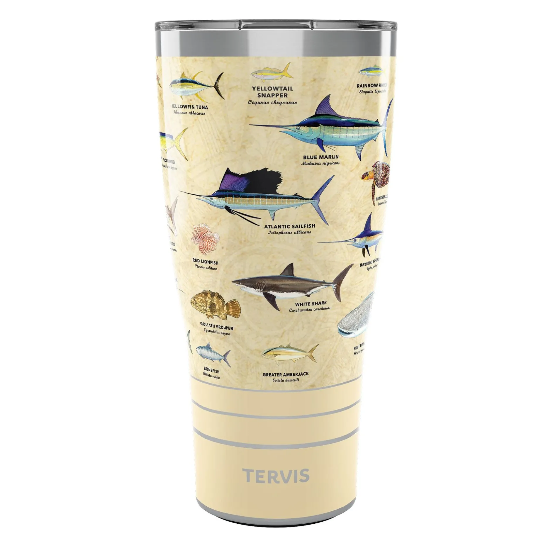 Tervis Charts