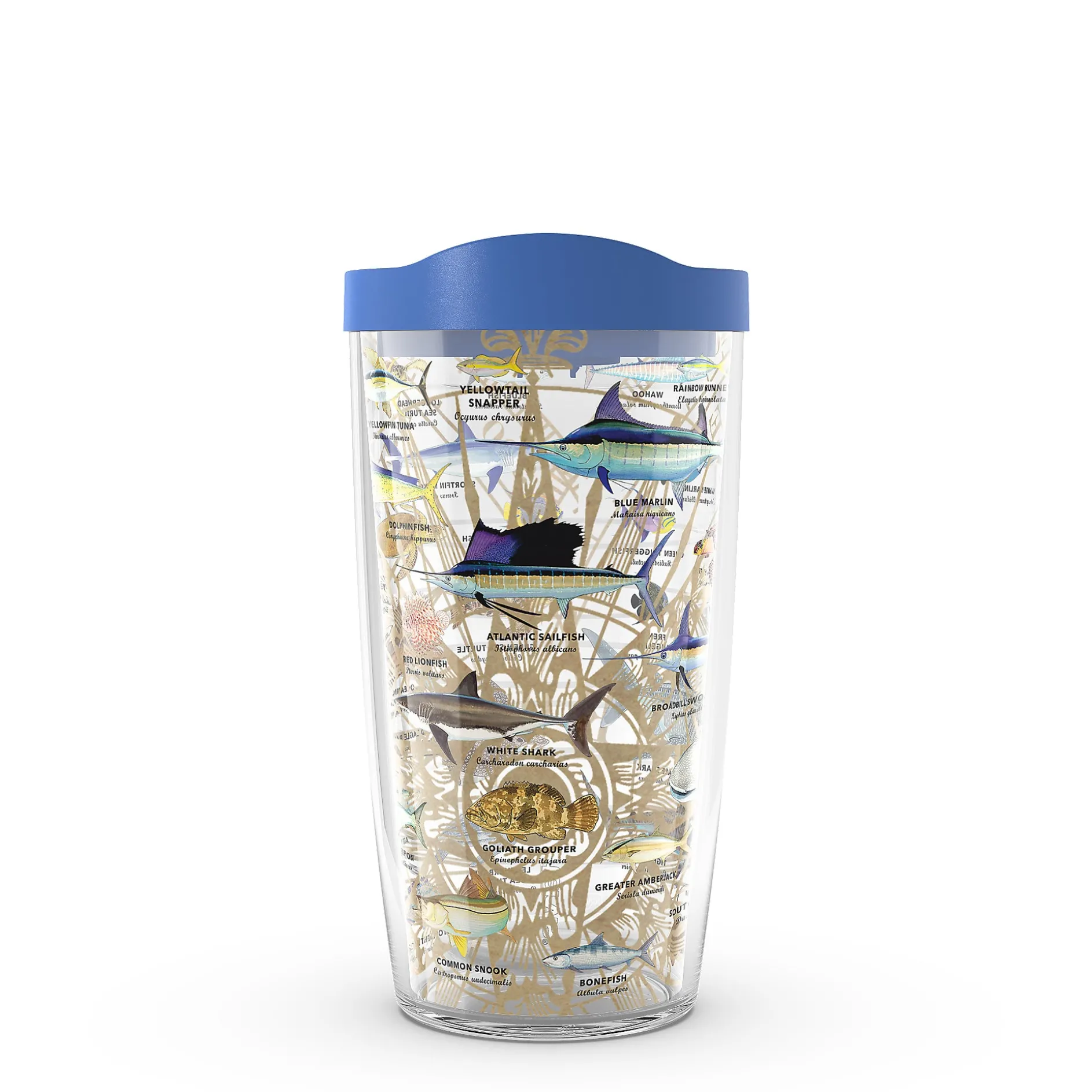 Tervis Charts
