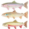 Triple Trout I