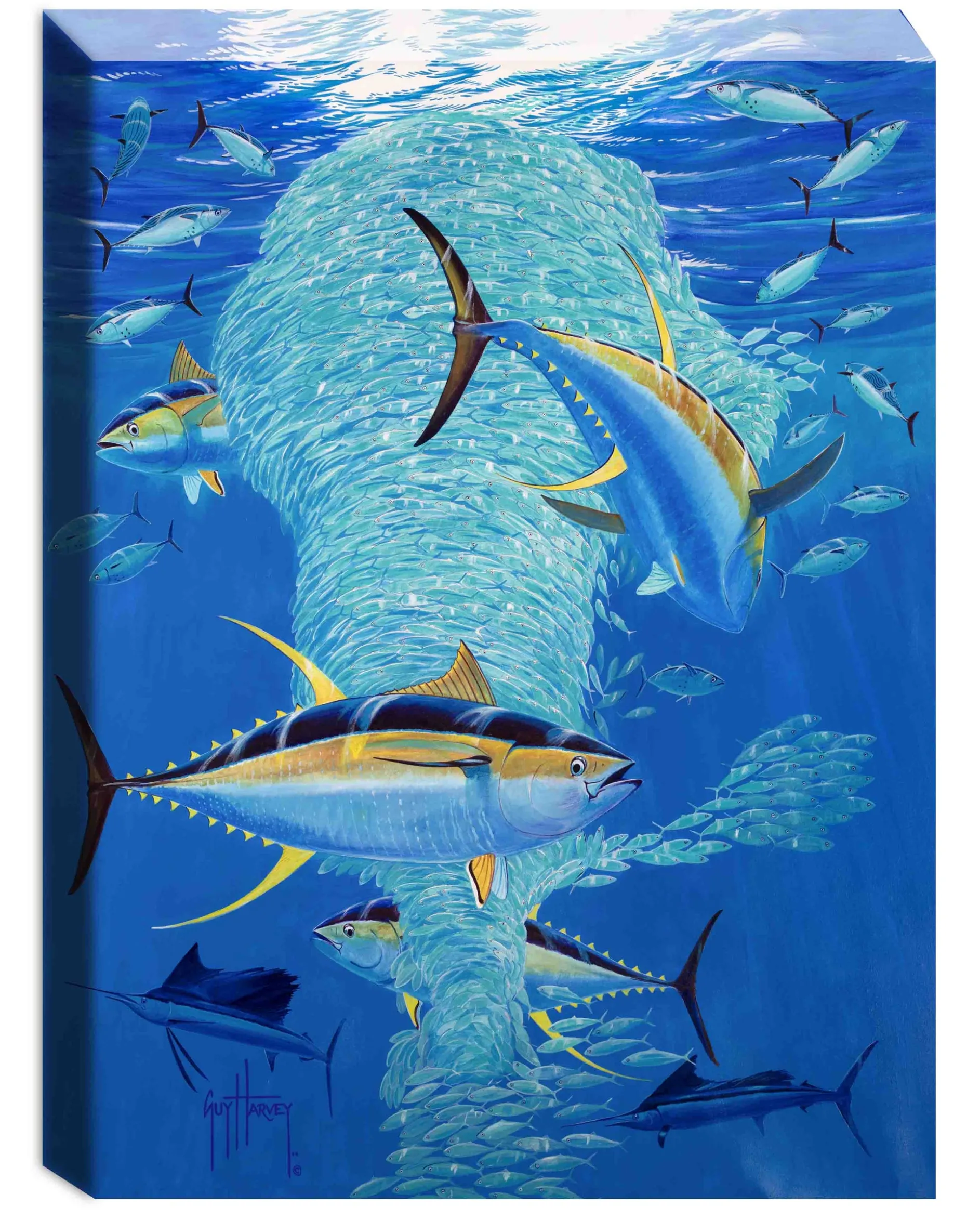 "Tuna Tornado" Limited Edition Canvas Art