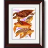 "Turtle Collage" Mini Print