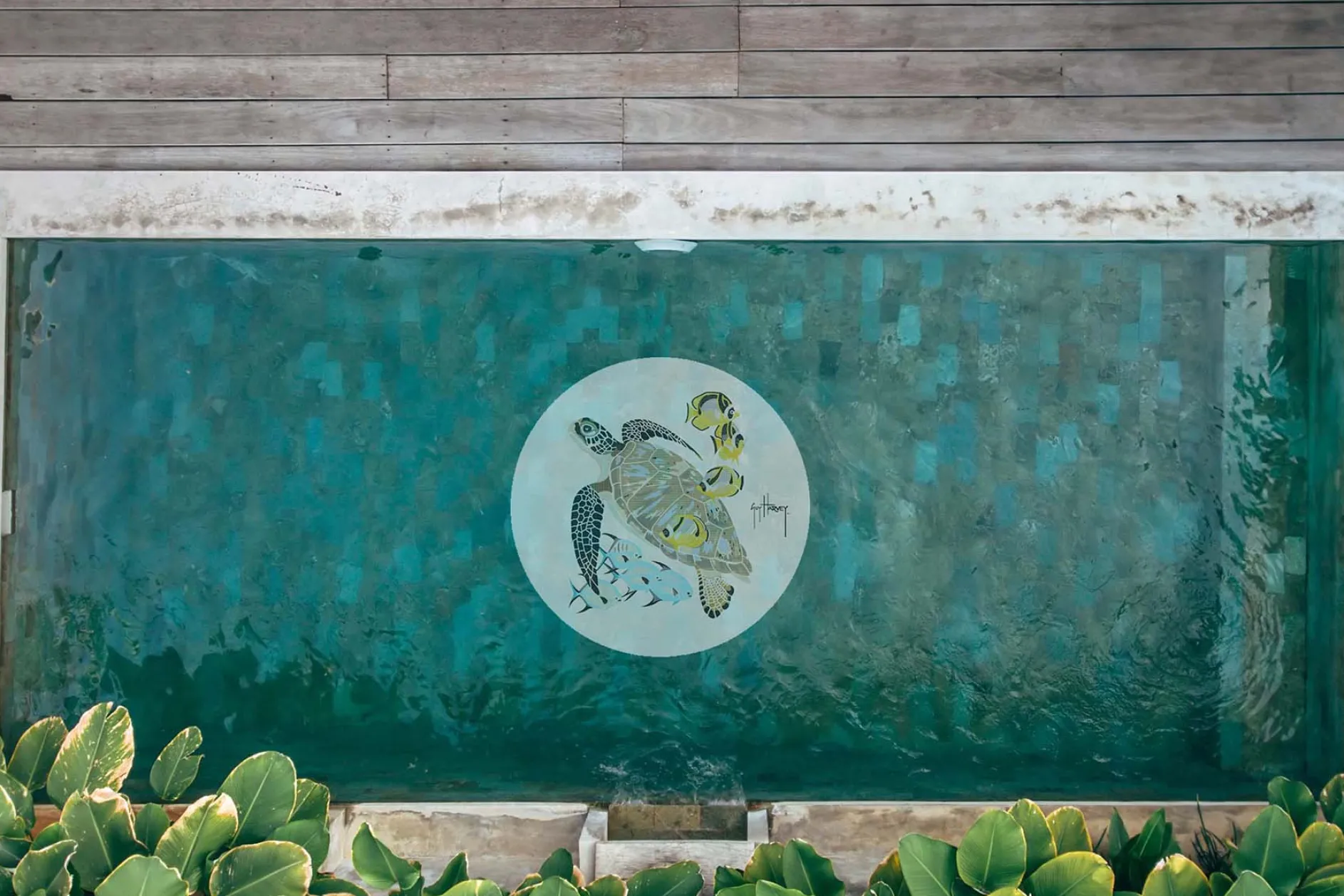 Turtle Medallion Mosaic - Large
