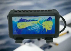 Two Bulls Case