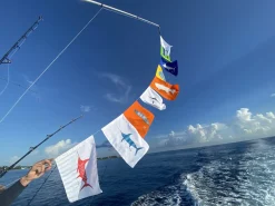 Wahoo Flag