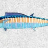 Wahoo Portrait