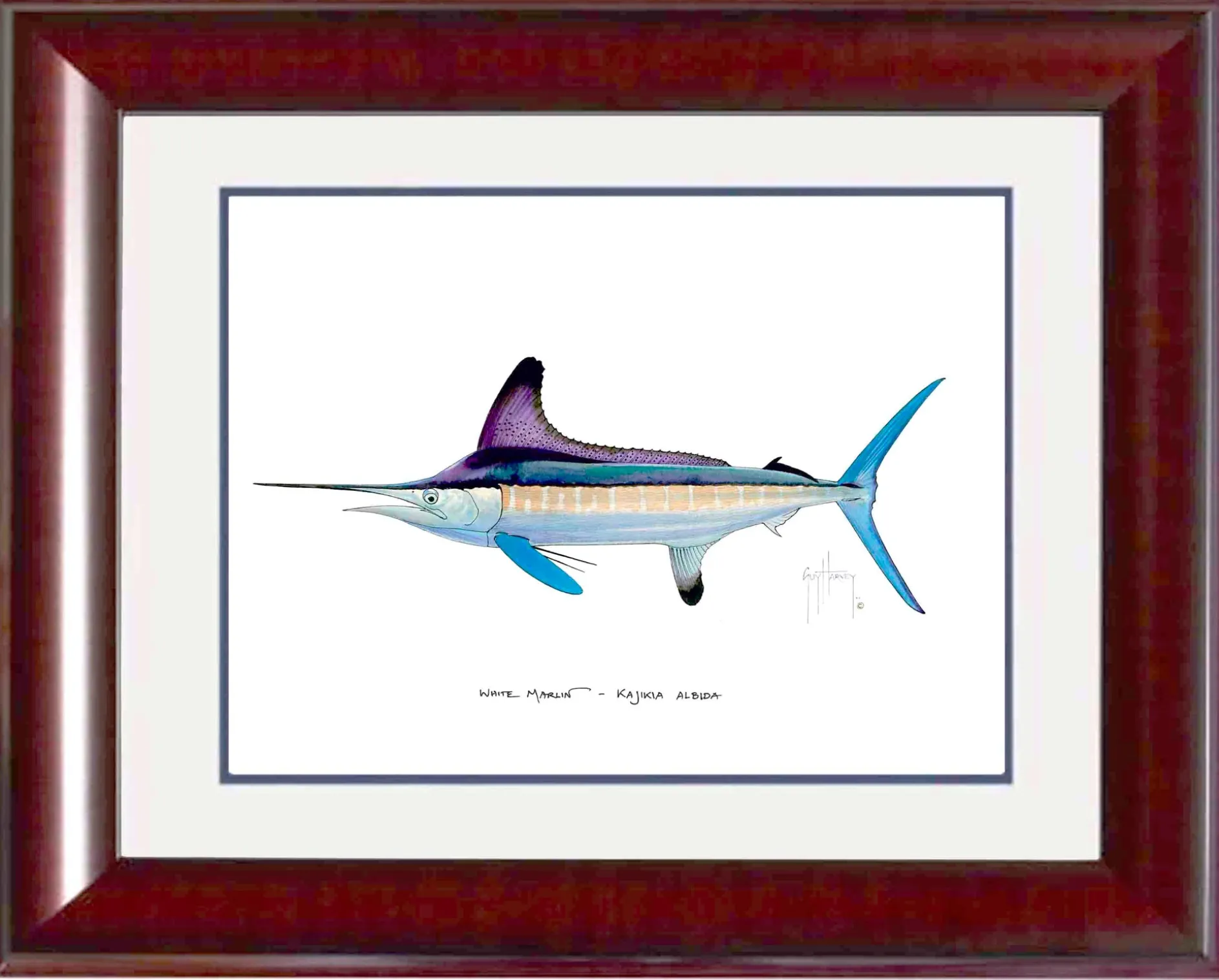 "White Marlin" Grande Mini Print