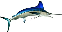 White Marlin Mount